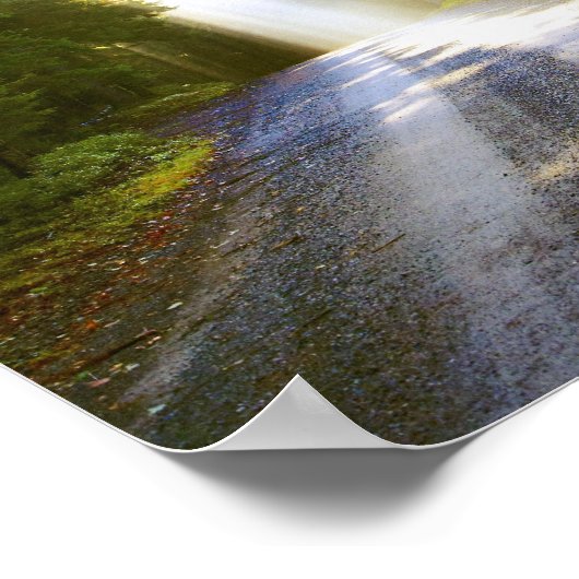 Sun Beams Through Forest in Acadia National Park Poster (Ecke)