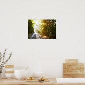 Sun Beams Through Forest in Acadia National Park Poster (Küche)