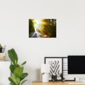 Sun Beams Through Forest in Acadia National Park Poster (Heimbüro)