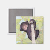 Sun Bear Cub Magnet (Vorderseite/Rückseite)