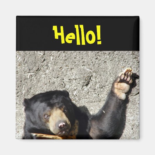 Sun Bear Hello Magnet (Vorne)
