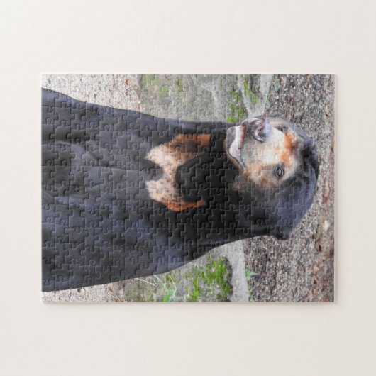 Sun Bear Puzzle (Horizontal)