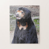 Sun Bear Puzzle (Vertikal)