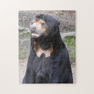 Sun Bear Puzzle
