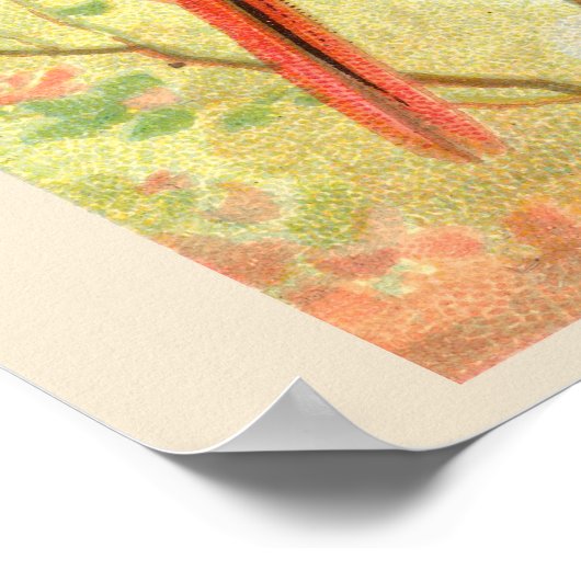 Sun Bird, Set 6 Bird Gallery Wall, 2 von 6 Poster (Ecke)