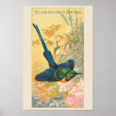 Sun Bird, Set 6 Bird Gallery Wall, 4 von 6 Poster (Vorne)