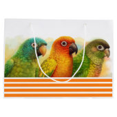 Sun blau-krönte grüne-cheeked conures große geschenktüte (Rückseite)