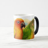Sun blau-krönte grüne-cheeked conures verwandlungstasse (VorderseiteRechts)