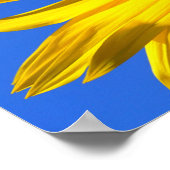 Sun-Blume Poster (Ecke)