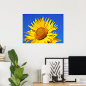 Sun-Blume Poster (Heimbüro)