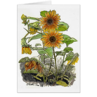Sun-Blumen