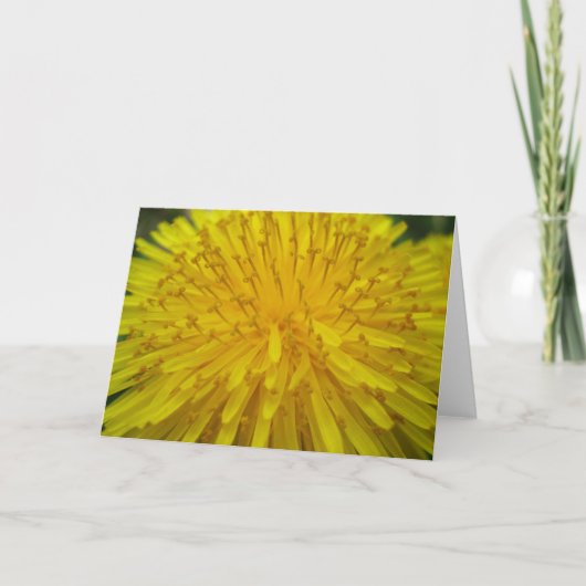 Sun Burst Greeting Card Karte (Vorderseite)