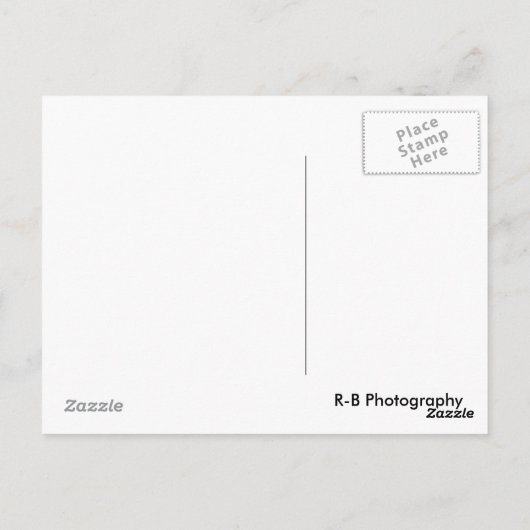 Sun Bust Postkarte (Rückseite)