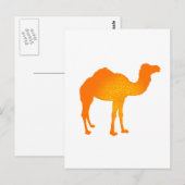 Sun Camel Postkarte (Vorne/Hinten)
