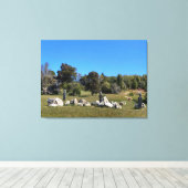 Sun Catchers Leinwanddruck (Insitu (Holzboden))