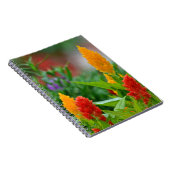 Sun Color Blume Notebook Notizblock (Rechte Seite)