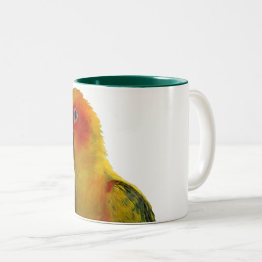 Sun Conure 15 Unze-Tasse Zweifarbige Tasse (VorderseiteRechts)