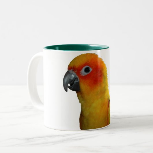 Sun Conure 15 Unze-Tasse Zweifarbige Tasse (Vorderseite Links)