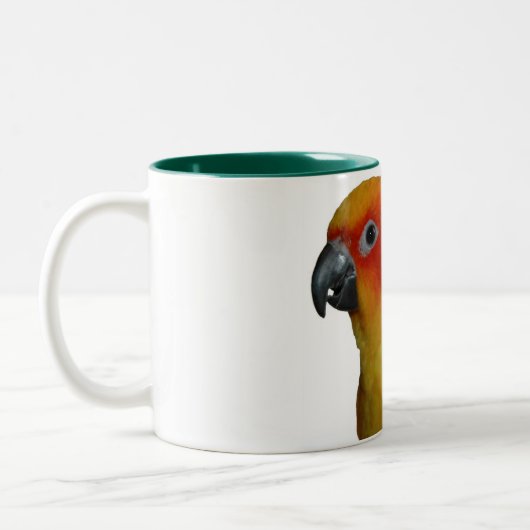 Sun Conure 15 Unze-Tasse Zweifarbige Tasse (Links)