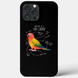 Sun Conure Anatomy Funny Niedlich Pet Parrot Bird Case-Mate iPhone Hülle