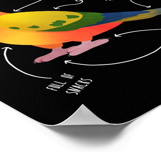 Sun Conure Anatomy Funny Niedlich Pet Parrot Bird Poster (Ecke)