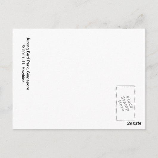 Sun Conure Bird Postkarte (Rückseite)