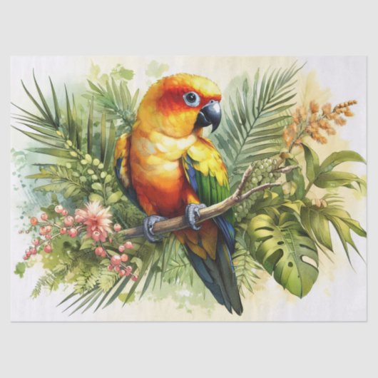 Sun Conure Decoupage Seidenpapier (Vorderseite)
