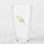 Sun Conure Glas (Rückseite)