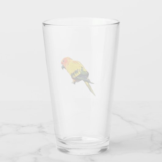 Sun Conure Glas (Rückseite)