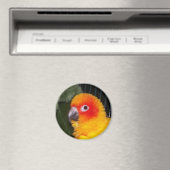 Sun Conure Magnet (In Situ (Geschirrspüler))