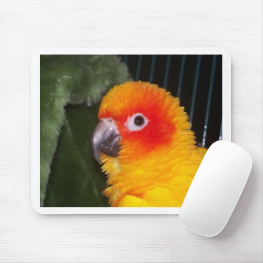 Sun Conure Mousepad (Mit Mouse)