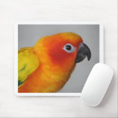 Sun Conure Mousepad (Mit Mouse)
