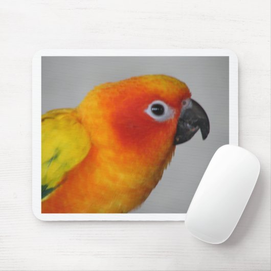 Sun Conure Mousepad (Mit Mouse)