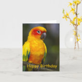 Sun Conure Parrot Blank Geburtstagskarte Karte (Gelbe Blume)