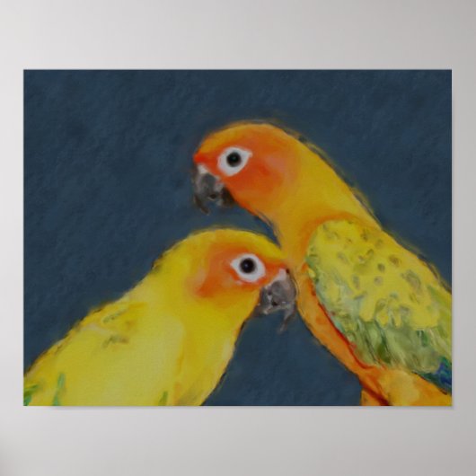 Sun Conure Parrot Pair Bird Art Poster (Vorne)