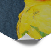 Sun Conure Parrot Pair Bird Poster (Ecke)