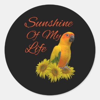 Sun Conure Parrot Sunshine Runder Aufkleber