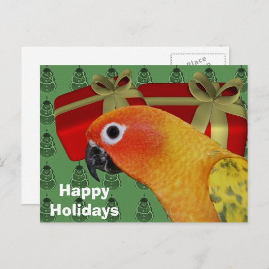 Sun Conure Parrot Weihnachtsurlaub Postkarte (Vorne/Hinten)