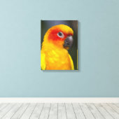 Sun Conure Parrot Wrapped Canvas Leinwanddruck (Insitu (Holzboden))