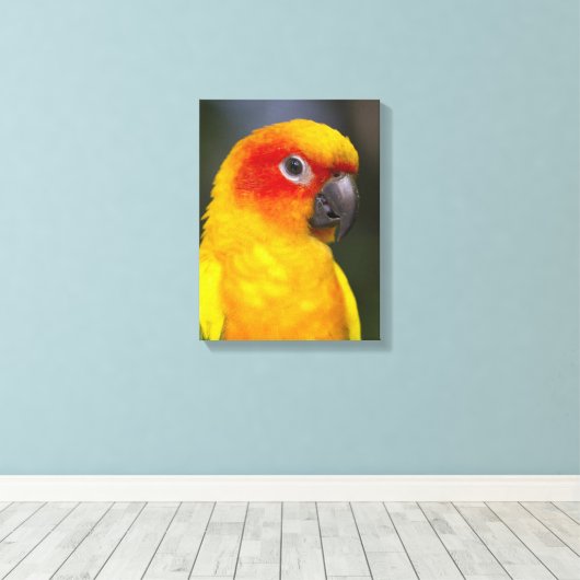 Sun Conure Parrot Wrapped Canvas Leinwanddruck (Insitu (Holzboden))