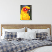 Sun Conure Parrot Wrapped Canvas Leinwanddruck (Insitu (Schlafzimmer))