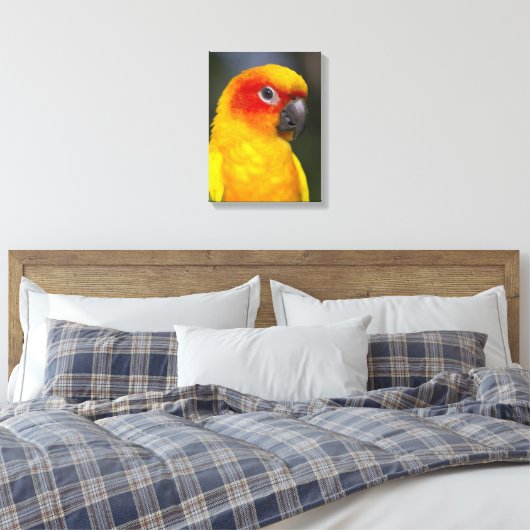 Sun Conure Parrot Wrapped Canvas Leinwanddruck (Insitu (Schlafzimmer))