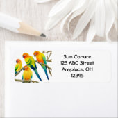 Sun Conure Parrots-Label (Insitu)