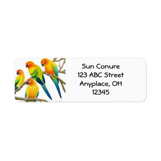 Sun Conure Parrots-Label (Vorne)