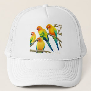 Sun Conure plappert Hut nach Truckerkappe