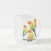 Sun Conure plappert mattierte GlasTasse nach Mattglastasse (VorderseiteRechts)