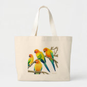 Sun Conure plappert Tasche nach (Vorne)