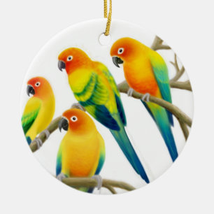 Sun Conure plappert Verzierung nach Keramik Ornament