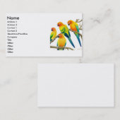 Sun Conure plappert Visitenkarte nach (Vorne/Hinten)