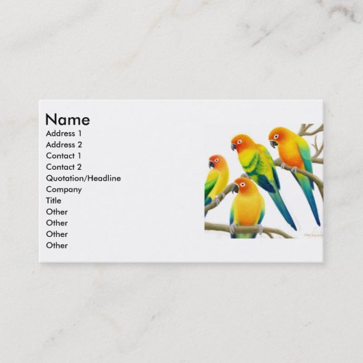 Sun Conure plappert Visitenkarte nach (Vorderseite)